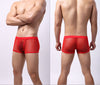 Men's Underwear Mesh Mesh Breathable Boxers Low Waist Transparent Boxers Youth Cool Shorts