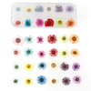 12 Box Schachtel Nagel Trockenblumen Schmuck