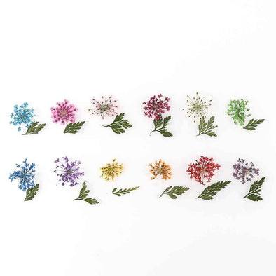 12 Box Schachtel Nagel Trockenblumen Schmuck