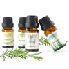 10ml Diffusor-Aromatherapieöl