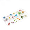 12 Box Box Nail Dry Flower Jewelry