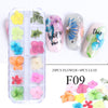 Nail Art Trockenblumen 12 Gitter Boxed Bunte Daisy Gypsophila Echte Blume Nagelschmuck