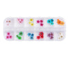 Nail Art Dry Flower 12 Grid Boxed Colorful Daisy Gypsophila Real Flower Nail Jewelry