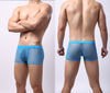 Men's Underwear Mesh Mesh Breathable Boxers Low Waist Transparent Boxers Youth Cool Shorts