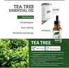 Firstsun tea tree essential oil