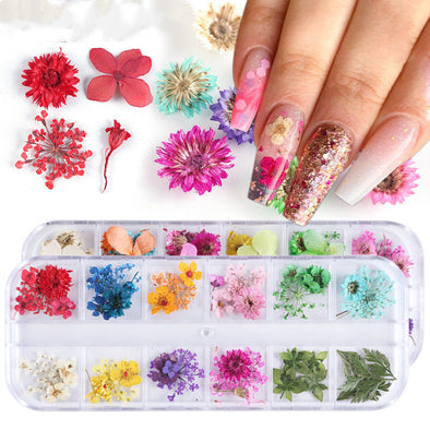 Nailart Trockenblumen