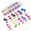 12 Box Box Nail Dry Flower Jewelry