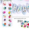 Nail Art Dried Flowers