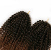 African wig short curly hair