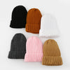 Fashion Women's Thermal Knitting Wool Hat