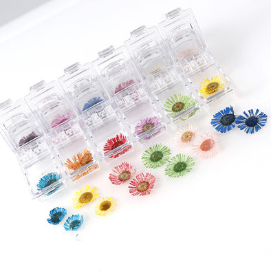 12 Box Box Nail Dry Flower Jewelry