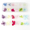 12 Box Box Nail Dry Flower Jewelry