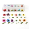 12 Box Box Nail Dry Flower Jewelry