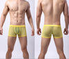 Men's Underwear Mesh Mesh Breathable Boxers Low Waist Transparent Boxers Youth Cool Shorts