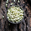 Getrockneter Jasmintee in großen Mengen