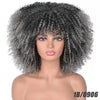 African Small Curly Hair Afro Wig Headgear