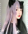 Lolita Double Ponytail Wig