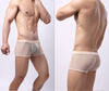 Men's Underwear Mesh Mesh Breathable Boxers Low Waist Transparent Boxers Youth Cool Shorts