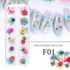 Nail Art Trockenblumen 12 Gitter Boxed Bunte Daisy Gypsophila Echte Blume Nagelschmuck