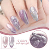 Spar Cat Eye Nail Polish Gel Manicure