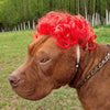 Fashion Pet Wigs Cat Dog Cosplay Props Wigs Tiara Hairpiece Makeover Clothes Pet Supplies