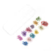 12 Box Box Nail Dry Flower Jewelry