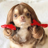 Fashion Pet Wigs Cat Dog Cosplay Props Wigs Tiara Hairpiece Makeover Clothes Pet Supplies