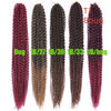 Wigs  Long Curly Hair Black Wig Braids