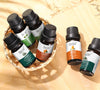 10 ml Sechser-Box ätherisches Aromatherapieöl