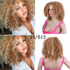 Synthetic Afro Curly Wig African Wigs For Black Women