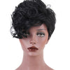 Women's Short Curly Synthetic High Temperature Wig