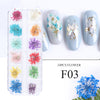 Nail Art Trockenblumen 12 Gitter Boxed Bunte Daisy Gypsophila Echte Blume Nagelschmuck