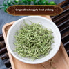 Baby Dried Flower Wild Material 500g G Grade Honeysuckle Cold Tea