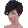 Women's Short Curly Synthetic High Temperature Wig