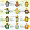 Pure Essential Oils 15pcs Gift Set Natural Plant Aroma