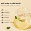 Castor Oil Castor Oil Skin Care Massage Basic Oil Hair Eyebrow Eyelash Care