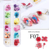 Nail Art Dry Flower 12 Grid Boxed Colorful Daisy Gypsophila Real Flower Nail Jewelry